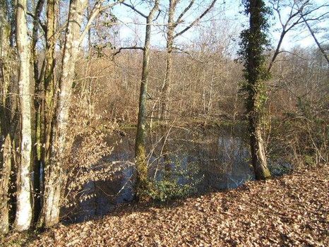Superbe environnement pour ce terrain de 1200 m�,avec vue sur �tang et bois,  non viabilis�. Proche des  commerces de proximit� et des �coles. COS de 0,15. Possibilit� d'avoir 9500 m� sup dont 1700 m� constructibles avec �tang, bois et pr�s.