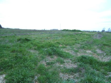 Joli terrain plat constructible  et viabilis� de 1300m� cu pour 300m�