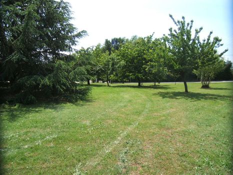 Beau terrain arbor� en pente douce dans un environnement privil�gi� sans nuisances. Cos 0.1