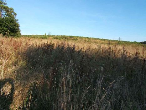 Dans un environnement agr�able acc�s rapide par la 89 beau terrain de 3120m� env. non viabilis�, possibilit� de diviser en 2 parcelles.