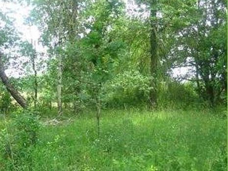 Au calme terrain de 1200m� plat  hors lotissement clotur�. Possibilit� de 500m� suppl�mentaire.