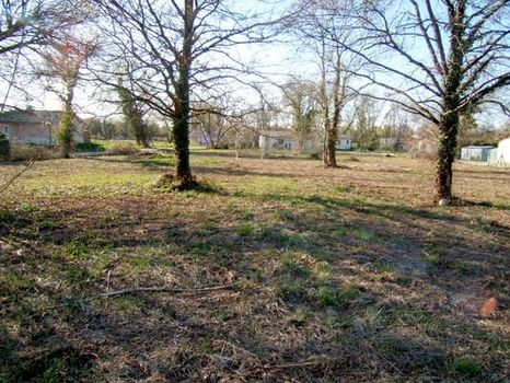 Au calme tr�s  beau terrain plat  constructible de 1503m� env. Cos 0.20