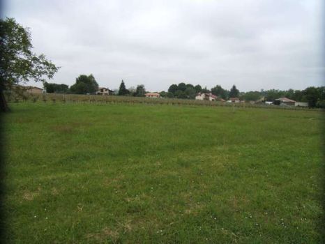 Sur les coteaux, terrain 1200m� plat, facade 35m, desservi en eau, etelcet,  tt �gout,  tres bien situ� au calme, sans nuisances.