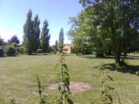 Bien situ� au calme, Joli terrain plat non viabilis� de 1240m�