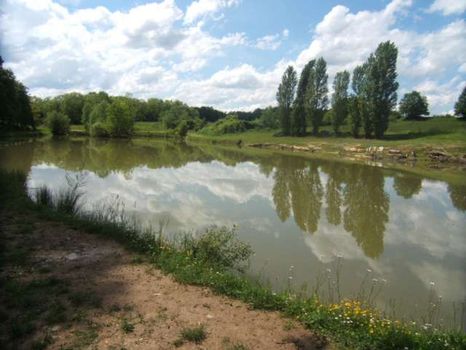 terrain de 1,5ha dont un lac de 8000m� au calme a 40 mn de bordeaux, avec construction existante 130m� env, eau ,elec, et possibilit� de reconstruction d'un batiment cadastr� suppl de 400m�.