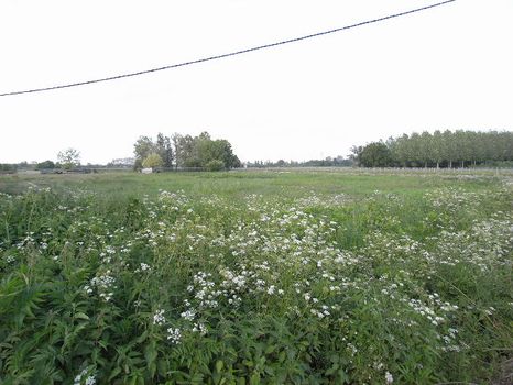 Terrain plat constructible de 800m�, non viabilis�, environnement agr�able