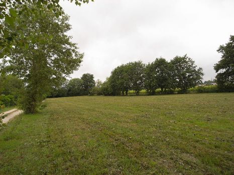 Proximit� centre de CREON, bel environnement bois�, terrain constructible de 2000 m�  non viabilis�, cos 0,8